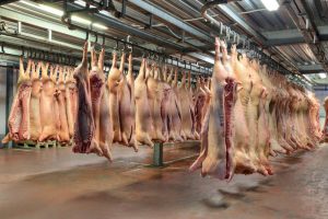 Budgeting for Your Pig Meat Processing Plant: Cost Considerations in Australia