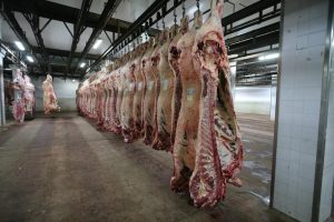 Australian Pig Abattoir Best Practice Guidelines
