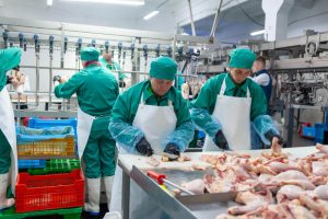 A Complete Guide to Kentmaster’s Safety Features for Abattoir Equipment
