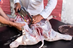 How Hand-Sawed Equipment Improves Your Butchery Workflow